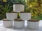 6 large candle glass jars empty- unique wood lid- DIY candles ideal for 3 wicks