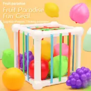 Fruit Shape Sorting Bin Infant Toddler Baby Shape Sorting Toy OPEN BOX For Kids