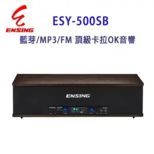 燕聲 ENSING ESY-500SB 藍芽/MP3/FM 頂級卡拉OK音響/擴音機/喇叭