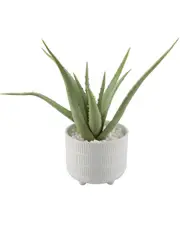 Flora Bunda 14in Aloe in Barcode Footed Ceramic