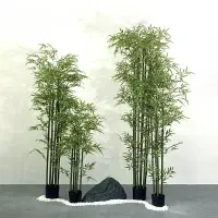 在飛比找樂天市場購物網優惠-竹子造景仿真物綠竹假植物落地盆栽商場家居茶室櫥窗布置綠植擺