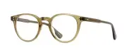Garrett Leight CLEMENT Olio (OLIO) Eyeglasses