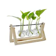 Glass Desktop Planter with Retro Wooden Stand and Plant Terrarium Vase