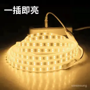 [台灣熱銷]led燈條單色rgb防水插頭110V高壓燈帶電源控制器燈條連接配件