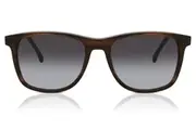 Paul Smith PSSN09054 GIBSON 002 Unisex Sunglasses