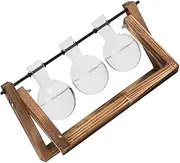 Toyvian 3pcs Hydroponic Glass Vases with Wooden Stand Indoor Planter for Home and Office Decor Easy Assembly Stable Support for Plant Propagation and Flower Display