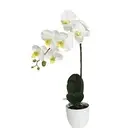 55cm White Orchid Artificial Plant