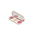 Farmasi 3-in-1 Face Palette – Contour, Blush & Highlight Trio, 13 g/0.46flOz
