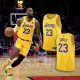 【NIKE 耐吉】球衣 NBA Swingman 黃 紫 洛杉磯湖人 LAL 詹姆斯 23 LBJ 運動背心(DN2009-733)