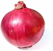 (Short Tag) Red Burgundy Onion 150Seeds Seeds Non GMO ez w CombSH I43;Seeds only