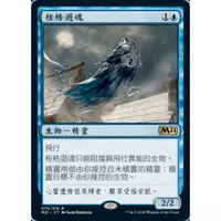 在飛比找蝦皮購物優惠-[魔法風雲會]-M21  桎梏遊魂 Shacklegeist