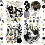 84Pcs Black Dried Pressed Flowers for Resin Molds, Bulk Real Natural Dry Floral for DIY Art Crafts, Epoxy Jewelry, Candle, Soap Making, Nails Decor, Phone Case