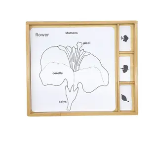 【樹年】蒙氏動物植物拼圖嵌板三段卡兒童益智親子玩具 蒙氏教具蒙特梭利動物圖片幼兒園早教