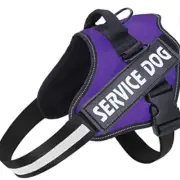 Service Dog Harness Purple Medium (Includes Patches)