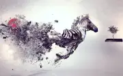 Abstract Zebra painting Canvas wall art home decor Animal watercolor oil paint