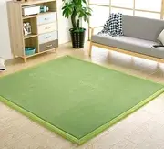 Living Room Home Decor Coral Fleece Area Rug,Modern Nursery Washable Kids Bedroom Rug,Girls Boys Soft Non-Slip Soft Mat,2cm Thick Kids Carpet-B- 200 * 280cm