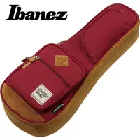 在飛比找蝦皮購物優惠-【恩心樂器批發】Ibanez POWERPAD 原廠 23吋