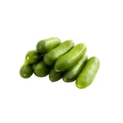 Organic Lebanese Cucumbers - Baby - Fresh, healthy organic delivery | Doorstep Organics