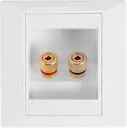 Dytabepl Double Hole Speaker Panel with 2 Sockets for Banana Plug Speaker, Wall Socket Wall Connection Box Port (without Bottom Box You Need to Buy the 86 Type Lower Box Yourself)