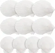 Yardwe 10 Pcs Natural Shell Oyster Shells for Craft Artificial Seashells Christmas Decorations (Random Size)