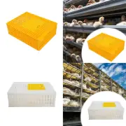 Poultry Carrier Crate Transport Box Stackable