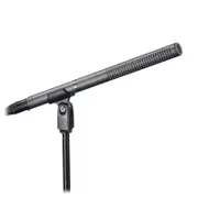 Audio-Technica AT897 Line/Gradient Shotgun Microphone