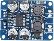 FSNEODYV Audio Amplifier Board， TPA3118 Digital Amplifier Board PBTL Mono Mini 60W 24V DC