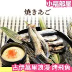 日本 古伊萬里浪漫 烤飛魚 500G 下酒菜 點心 宵夜 配菜 零食 單個包裝 業務用 配酒 佐賀縣產【小福部屋】