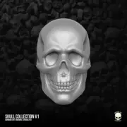 Skull Collection v7 custom head for Marvel Legends or other action figures