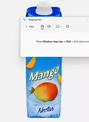 PACK OF 2 GOYA Mango Nectar *33 OZ* | Nectar de Mangó (Mango) 2 PACK