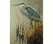 Great Blue Heron Bird Jigsaw Puzzle 500 pc NIB Cobble Hill Made in America