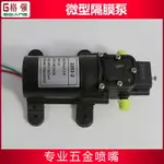 24V 220V微型隔膜泵 自動吸水增壓可調噴霧泵小水泵電動增壓泵/滿200元出貨