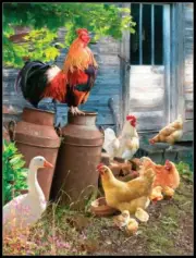 Hen Run - Chart Counted Cross Stitch Pattern Needlework DIY DMC Color 14 ct
