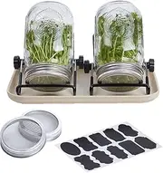Jar - Germination sets, growing set | Sprouts, glass neck germination in the neck to wide and mastery for beginners, for sprouts and cultivation of Sämlingen