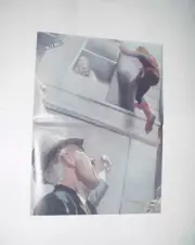 Spider-Man Poster #129 vs J Jonah Jameson Alex Ross Marvels