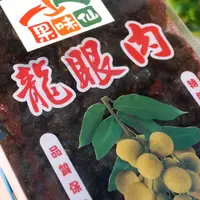 在飛比找松果購物優惠-台灣龍眼肉去殼去籽桂圓肉 今年新貨 在地生產600公克/1斤