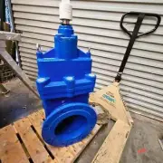 Cadia Flange Resilient Seat Gate Valve ACWC FL-FL TD 225mm length 305mm 43662