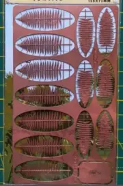 Doodlbunny FLF35010S Vietnam - Cyathea + US Army Jungle boot Stencil, Type 1