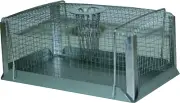 Top Funnel Mouse Trap, Small
