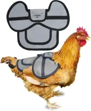 Canvas Chicken Saddle for Hens with Larger Wing Cover & Adjustable Straps - Dura