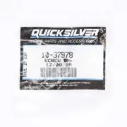 QuickSilver Screw Part Number - 10-37978