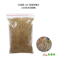 在飛比找蝦皮購物優惠-大包裝J01.苜蓿芽種子 多年生草本植物 似蘭葉草 耐乾旱 