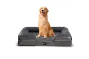 Petzly Dog Bed with Sides Egg-Crate Foam Removable Washable Cover Grey XL