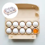 Egg Protection Box Picnic Eggs Shockproof Storage Outdoor Container Organizer