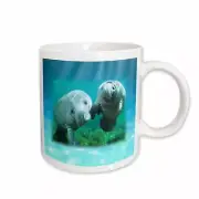 3dRose 2 Manatees looking At You Mug