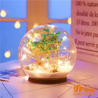 在飛比找PChome24h購物優惠-【iSFun】夢幻水晶球＊聖誕雪花情境玻璃球燈/藍乾燥花