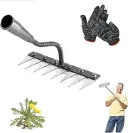 Gardenia Iron Weeding Rake,Iron rake for Gardening and Weeding,Iron Weeding rake,5/6/7/8 Teeth,for Dethatching,Gardening and Backyard Lawn Loosening (Black+8 Teeth)