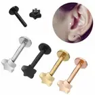 Body Piercing Jewelry Ear Studs Tragus Earrings Cartilage Helix Star Shape