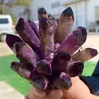 437G New Find purple PhantomQuartz Crystal Cluster MineralSpecimen