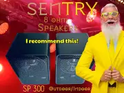 Sentry 3-way Indoor and outdoor Speakers in Box/New.